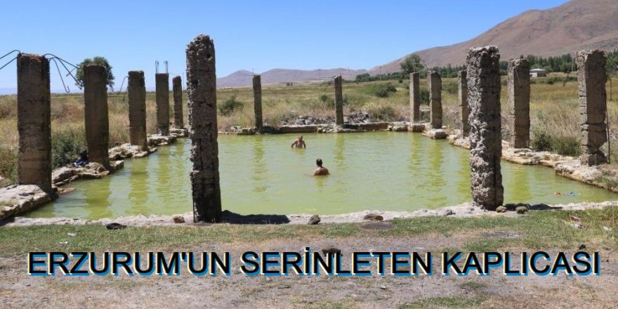 Kaplıca suyuna serinlemek için giriyorlar