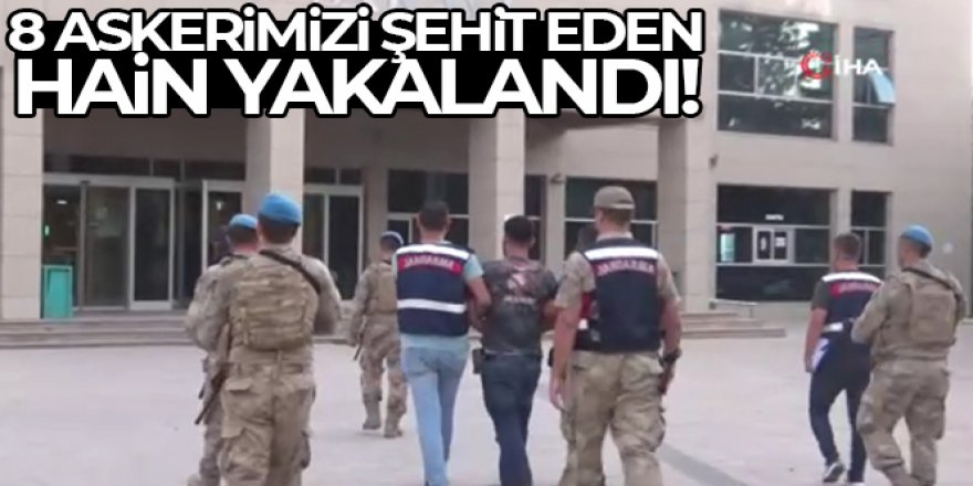 8 askerin katil zanlısı PKK-KCK'lı terörist tutuklandı