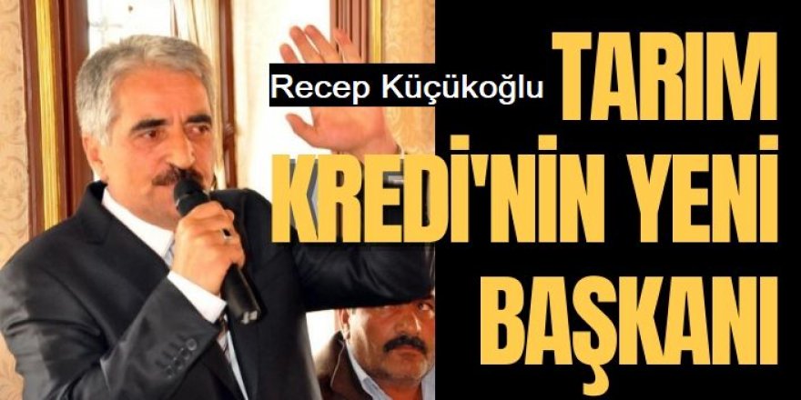 Recep Küçükoğlu, Birlik başkanı oldu