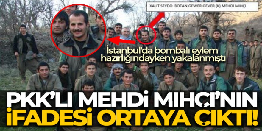 PKK'lı Mehdi Mıhçı'nın ifadesi ortaya çıktı