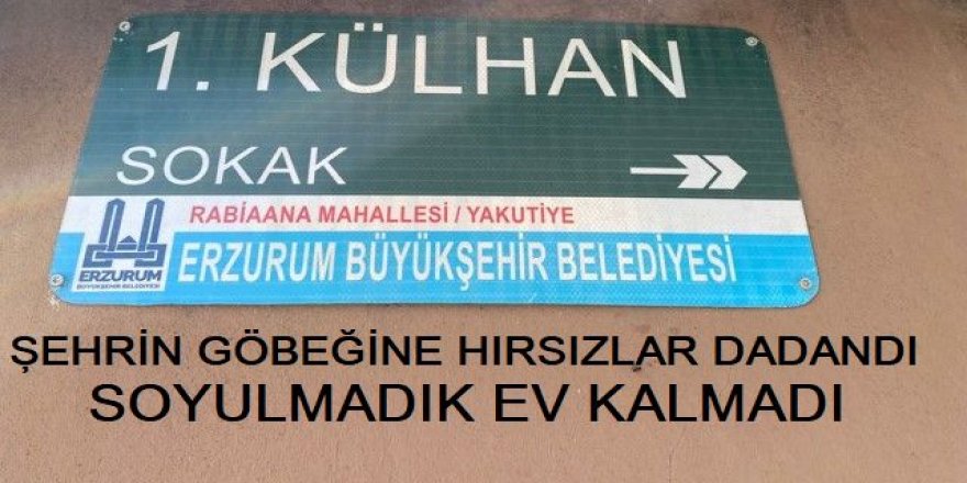 Erzurum'un göbeğinde Hırsızlardan yağma