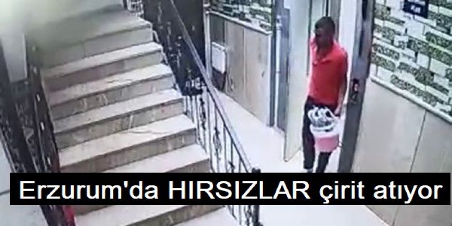 Erzurum'da hırsızlar Cirit atıyor