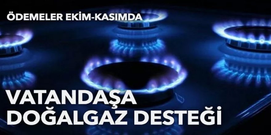 4 milyon haneye gaz desteği