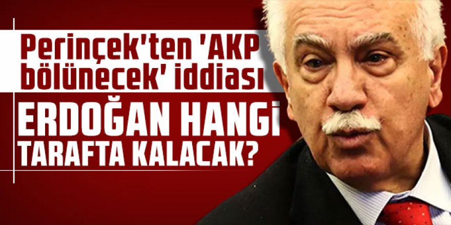 Perinçek'ten 'AKP bölünecek' iddiası: Erdoğan hangi tarafta kalacak?