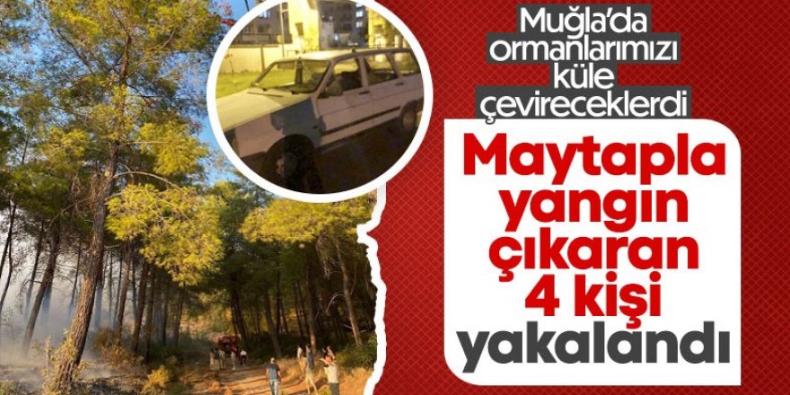 Muğla'da maytap ile ormanı yaktılar