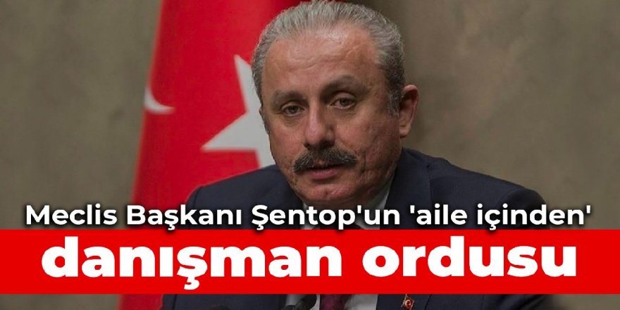 Meclis Başkanı Şentop'un 'aile içinden' danışman ordusu