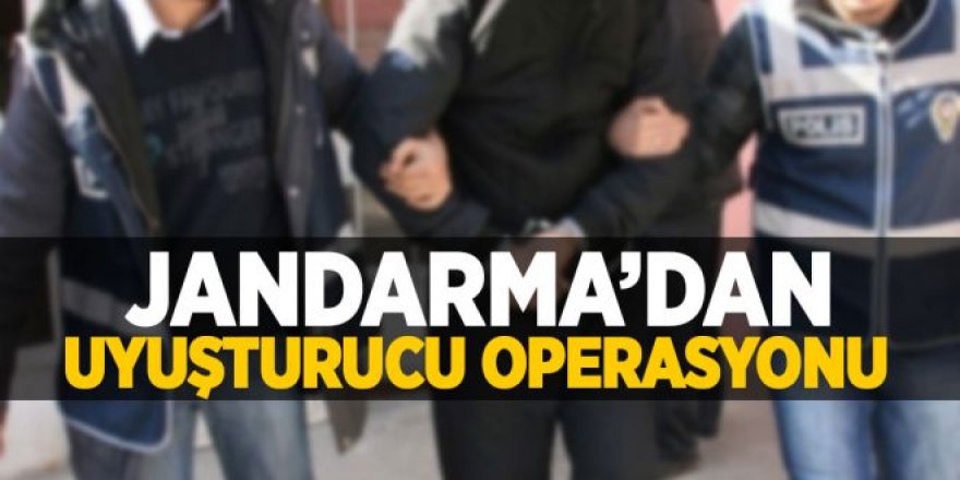Erzurum'da Jandarmadan uyuşturucu operasyonu