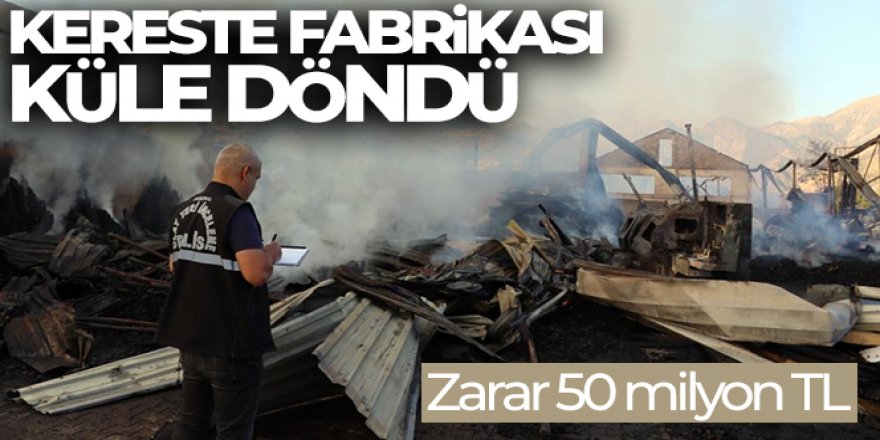 Oltu'da kereste fabrikası yandı, zarar 50 milyon TL