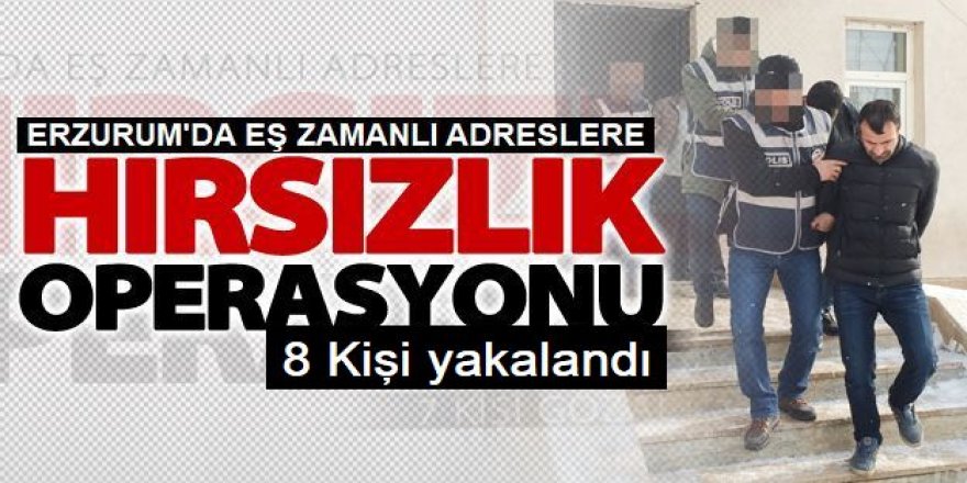 Erzurum’da hırsızlık zanlılarına şafak operasyonu