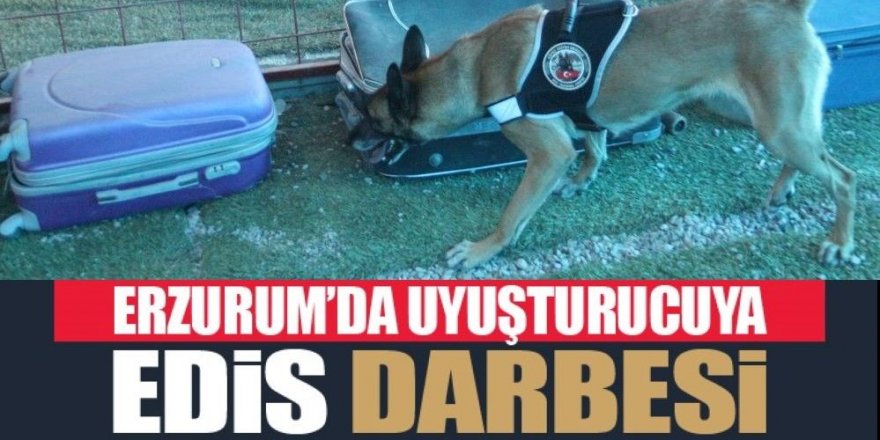 Narkotik köpeği Eris, Erzurum’da uyuşturucuya geçit vermiyor