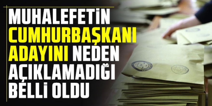 Muhalefetin Cumhurbaşkanı adayını neden açıklamadığı belli oldu