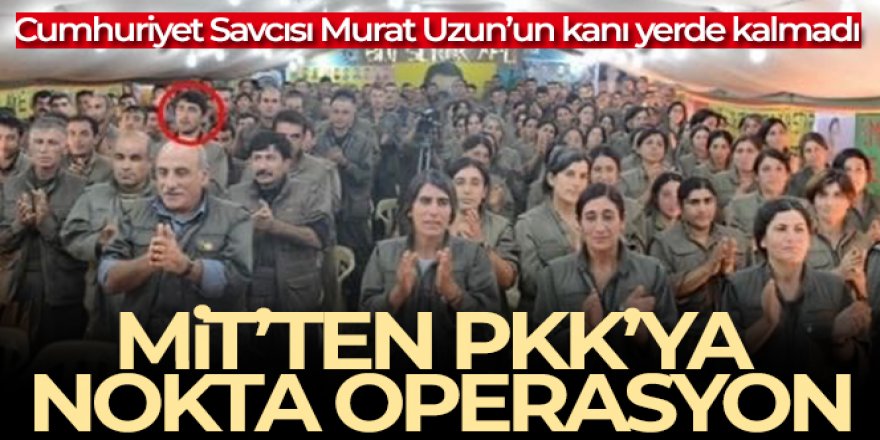 MİT'ten PKK'ya nokta operasyon