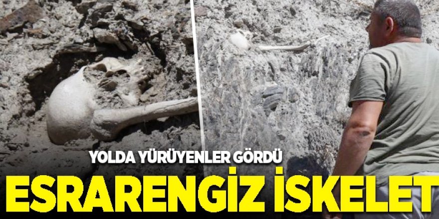 Esrarengiz insan iskeleti yol kenarında gözüküyor