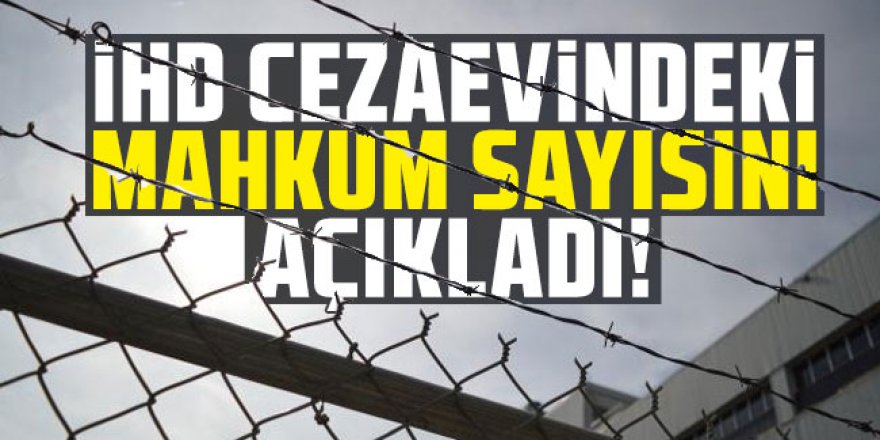 İHD cezaevindeki mahkum sayısını açıkladı!