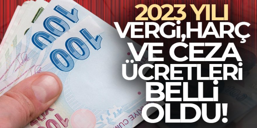 2023 yılı vergi, harç ve ceza ücretleri belli oldu