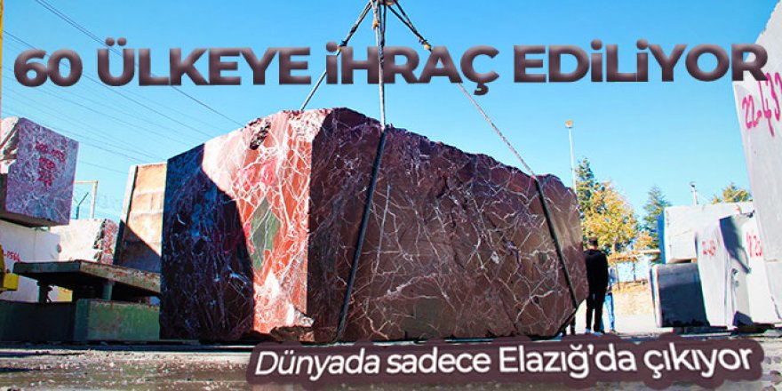 Dünyada sadece Elazığ'da çıkıyor, 60 ülkeye ihraç ediliyor