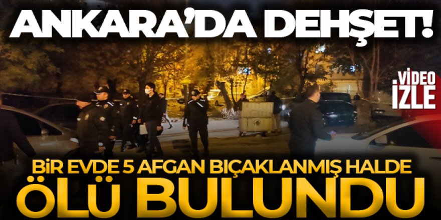 5 Afgan bıçaklanmış halde ölü bulundu