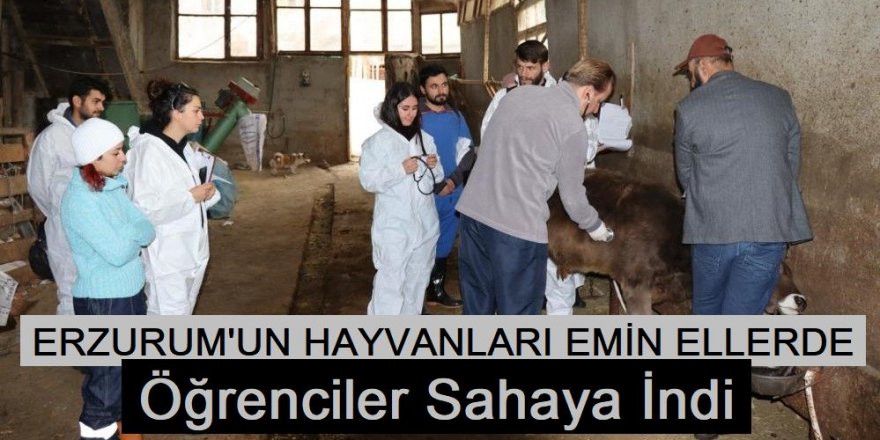 Erzurum'da öğrenciler Köy köy dolaşıp hasta hayvanları tedavi ediyorlar