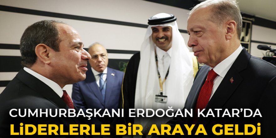 Cumhurbaşkanı Erdoğan, Katar Emiri Al Sani tarafından verilen resepsiyona katıldı