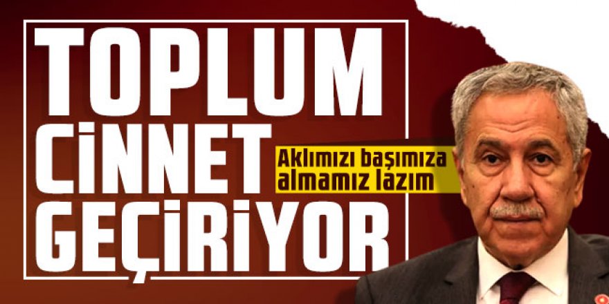 Bülent Arınç: Toplum cinnet geçiriyor, aklımızı başımıza almamız lazım