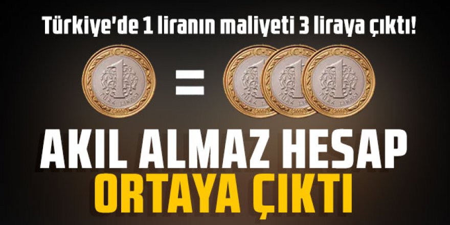 Türkiye'de 1 liranın maliyeti 3 liraya çıktı!
