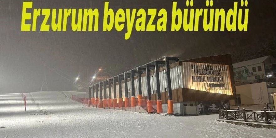 Erzurum beyaza büründü, vatandaşlar karın tadını çıkarttı