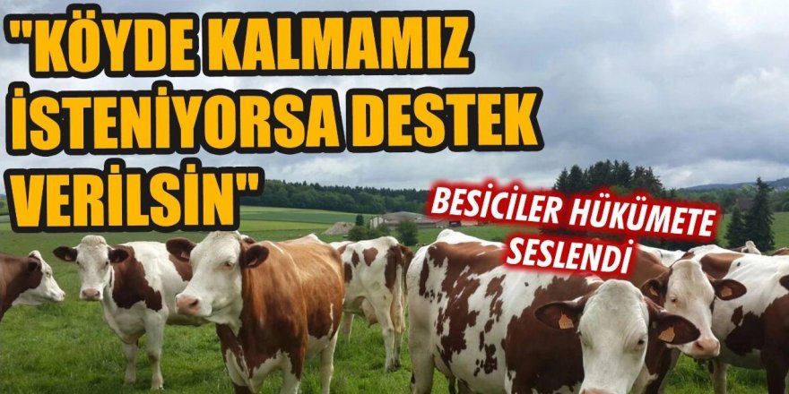 Erzurum'da besiciler hükümete seslendi: 'Yem saman pahalı destek verilsin''