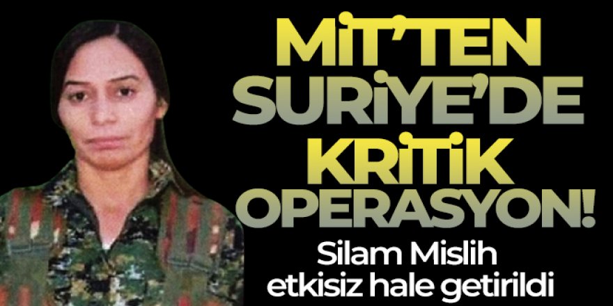 MİT'ten kritik operasyon: