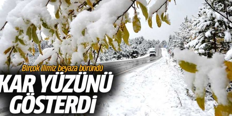 Erzurum’da kar yüzünü gösterdi