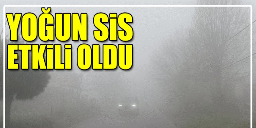 Karlıova- Erzurum kara yolunda yoğun sis etkili oldu