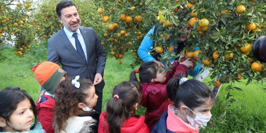 ARAS, ÖĞRENCİLERLE MANDALİNA HASADI YAPTI