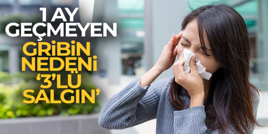 1 ay geçmeyen gribin nedeni '3'lü salgın'