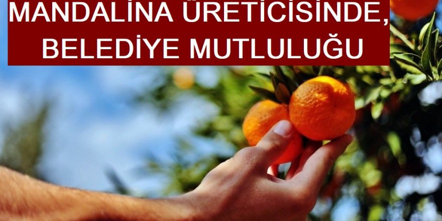 MANDALİNA ÜRETİCİSİNDE, BELEDİYE MUTLULUĞU