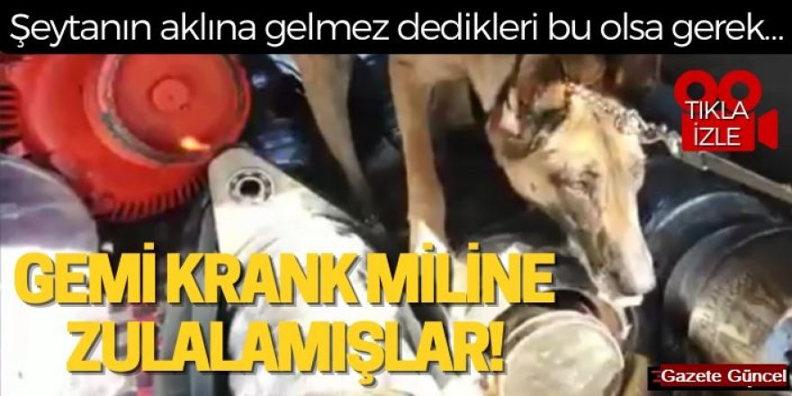 Yine yakalandılar: Alkışlar Erzurum polisine!