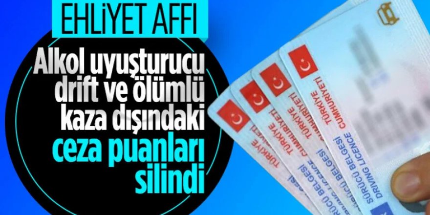 Seçim Müjdeleri: Erdoğan'dan ehliyet ve ceza affı müjdesi