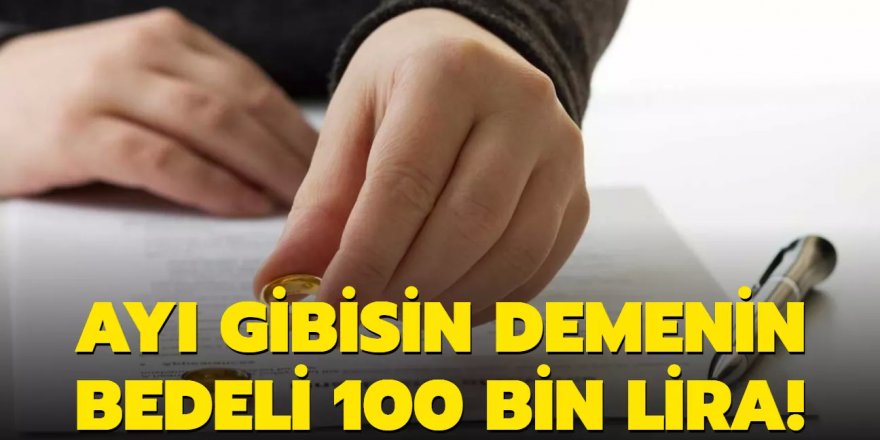 Ayı gibisin demenin bedeli 100 bin lira!