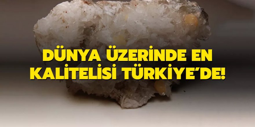 Dünya üzerinde en kalitelisi Türkiye'de!