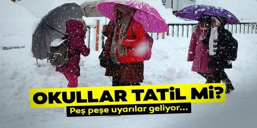 Erzurum'da yarın okullar tatil mi?