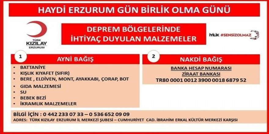 Haydi Erzurum gün birlik günüdür