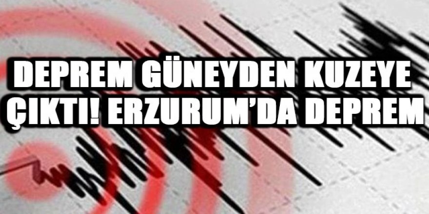 Erzurum’da 4.6 büyüklüğünde deprem