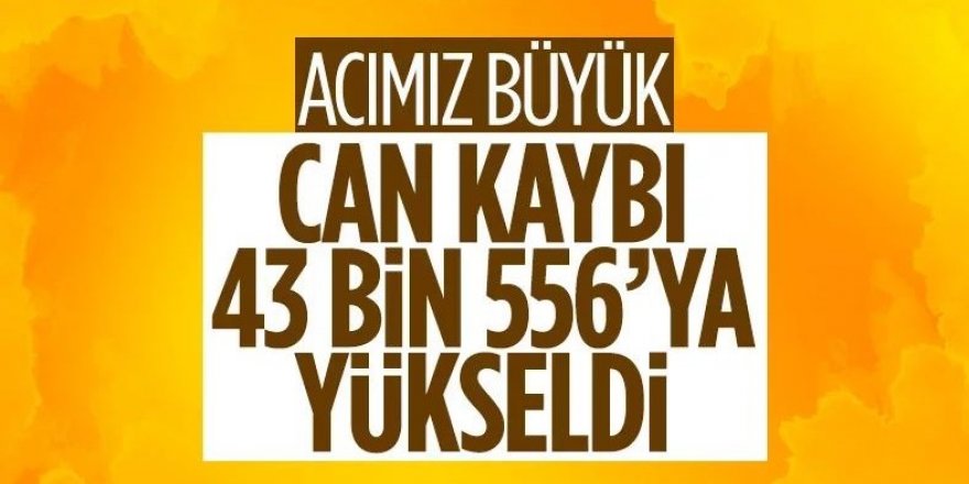 16'ncı gün bilançosu: Can kaybı 43 bin 556'ya yükseldi