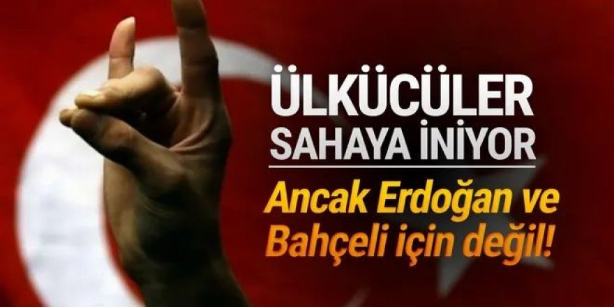 Ülkücüler sahaya iniyor! Ancak MHP için değil