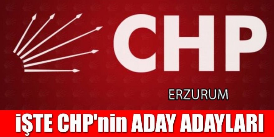 Erzurum'da CHP'den kimler Milletvekili aday adayı oldu?