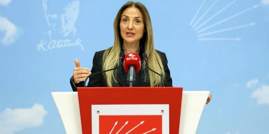 Aylin Nazlıaka ''bakan olabilmek için'' milletvekili aday adaylığından çekildi