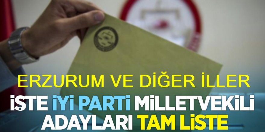 İYİ Parti'nin Erzurum milletvekili aday listesi belli oldu