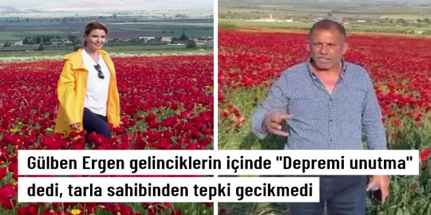 Gelincik tarlasından yardımlaşma çağrısı yapan Gülben Ergen'e tarla sahibinden tepki