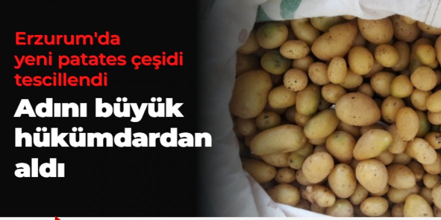 Erzurum'da yeni patates çeşidi tescillendi