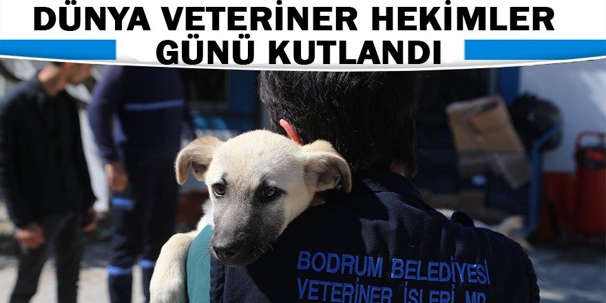 DÜNYA VETERİNER HEKİMLER GÜNÜ KUTLANDI