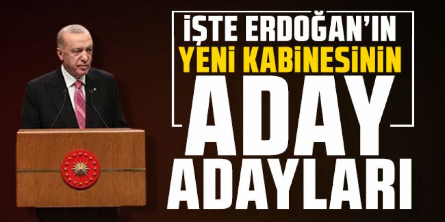 İşte Erdoğan'ın yeni kabinesinin aday adayları...