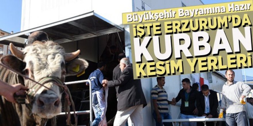İşte Erzurum'da Kurban Satış ve Kesim Yerleri